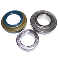 Bearing_Kit_for__4eaac96103caa.jpg